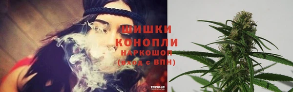 дмт Осинники