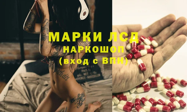 дмт Осинники